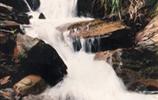玉龍?jiān)?、響水?></a></dd>
  <dd>
	 

	

	 

	　　雨母山西北一個(gè)山皂，東西縱向長達(dá)1公里。有叫玉龍?jiān)?，有叫響水皂。該皂有響水泉和響水瀑布。在玉龍?jiān)砼c九龍沖相隔的山坳，叫玉龍騰山坳，簡稱玉龍坳。玉龍土皂現(xiàn)駐有供電所、林場和蒸湘區(qū)黨校。在玉龍?jiān)淼祝幸蝗_，叫玉龍臺。...[<a href=