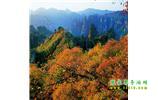 長沙往返張家界、天子山、寶峰湖/黃龍洞三日游