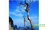 湘西之旅：張家界、天子山、寶峰湖/黃龍洞、鳳凰古城、猛洞河漂流、天門山六日游