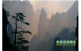 張家界國家森林公園、寶峰湖/黃龍洞、鳳凰古城、三峽八日游