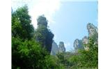 【純玩拼團(tuán)線路 張家界出發(fā)A2線】張家界、袁家界、天子山、金鞭溪、鳳凰古城2晚3日游